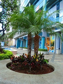 f0170524_19333815.jpg