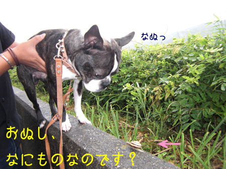 a0190132_03973.jpg
