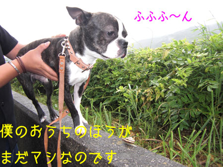 a0190132_04032.jpg