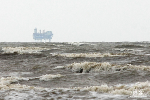 106 Bolivar Peninsula ~ペリカンだらけ~_c0211532_1016516.jpg