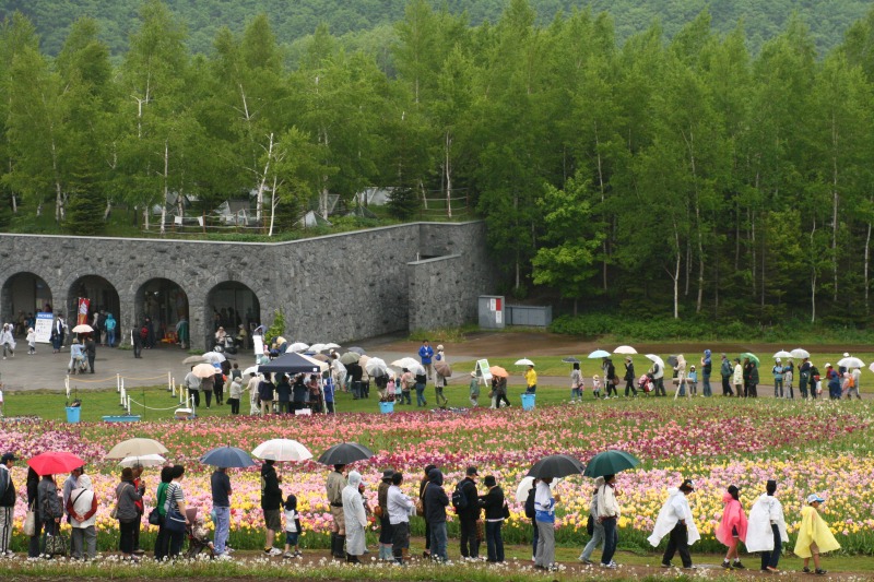 雨上がりの公園_b0093135_22251654.jpg