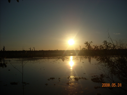 Sun-set swamp tour!! _d0209737_0152831.jpg