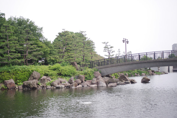 c0090139_949352.jpg
