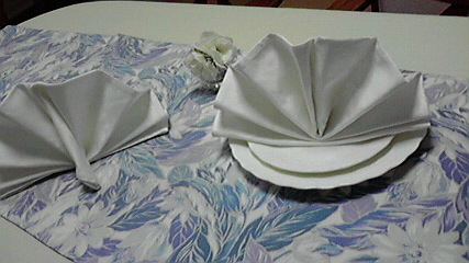 ナプキンのたたみ方②_e0227942_16124528.jpg
