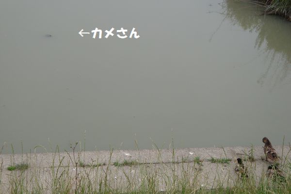 b0214647_19483087.jpg