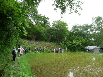 井戸尻ウォーク_f0019247_2361798.jpg
