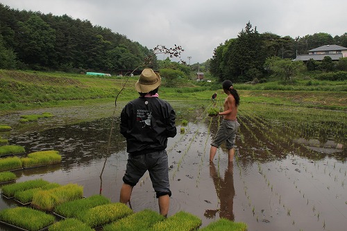 田植え完了＾＾_a0109450_22535540.jpg