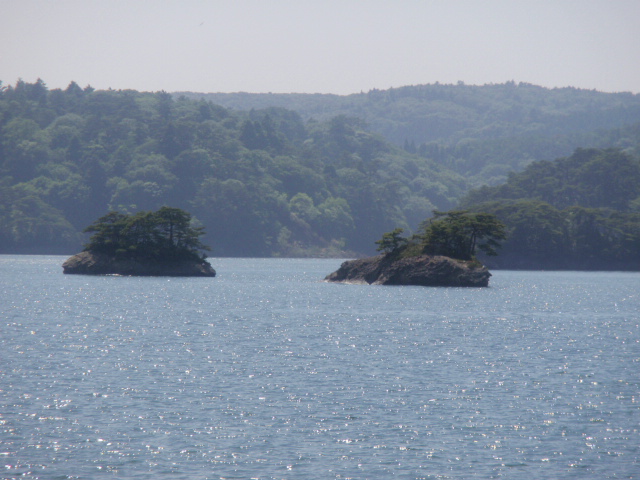 d0078350_105445100.jpg