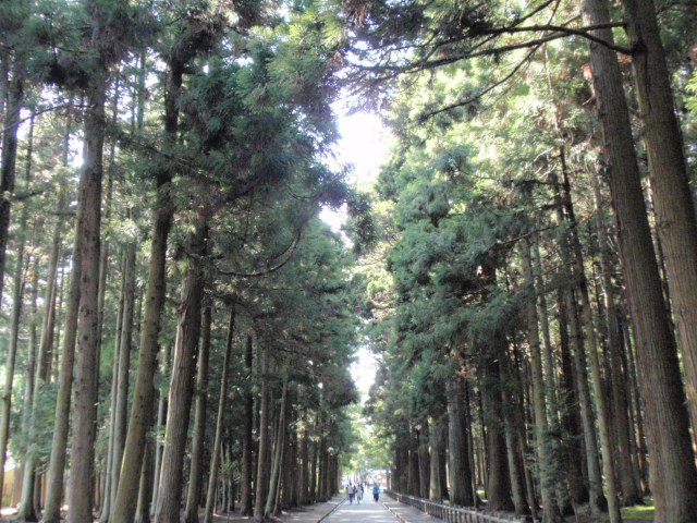 d0078350_11355220.jpg