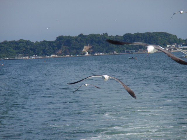 d0078350_11491427.jpg