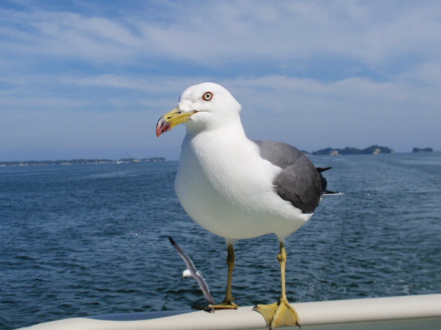 d0078350_1165555.jpg