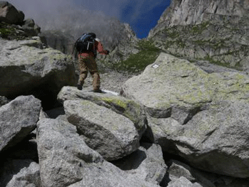 a0044453_5452339.gif