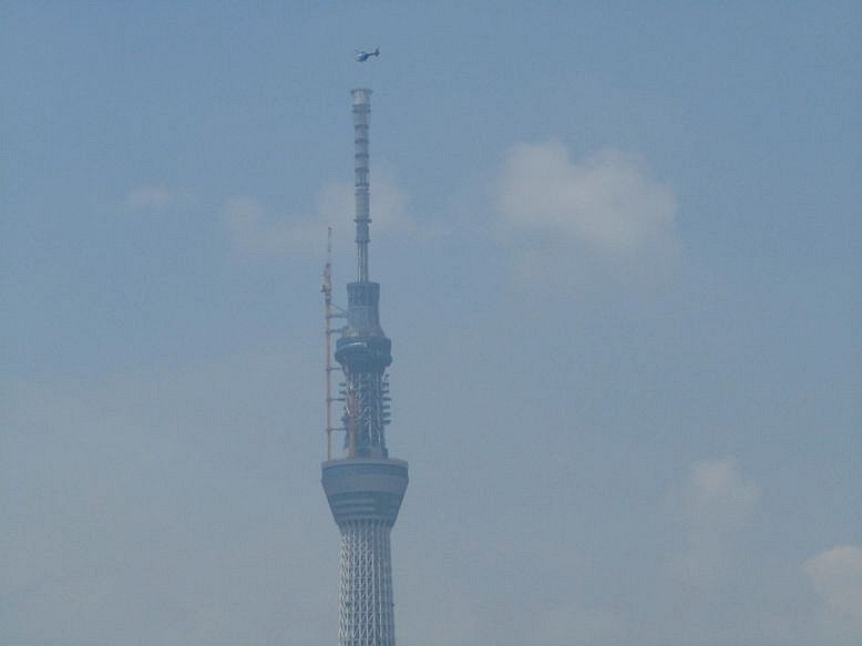 梅雨の晴れ間のお散歩は・・・_e0129656_22164195.jpg