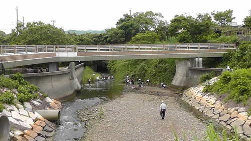 箱作小学校4年「田山川の生き物観察」サポート_c0108460_233714100.jpg