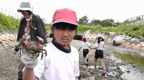箱作小学校4年「田山川の生き物観察」サポート_c0108460_2339472.jpg