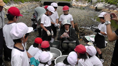 箱作小学校4年「田山川の生き物観察」サポート_c0108460_23444346.jpg