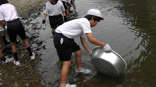 箱作小学校4年「田山川の生き物観察」サポート_c0108460_23454644.jpg