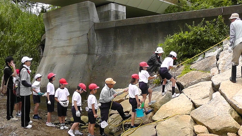 箱作小学校4年「田山川の生き物観察」サポート_c0108460_23462042.jpg
