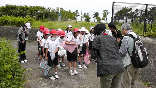箱作小学校4年「田山川の生き物観察」サポート_c0108460_23465845.jpg