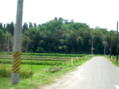 c0050264_1323301.jpg