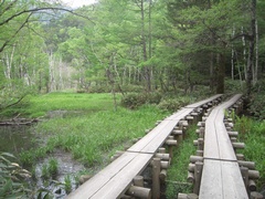 d0083265_114235100.jpg