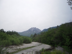 d0083265_1456273.jpg