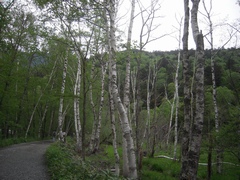 d0083265_14564341.jpg