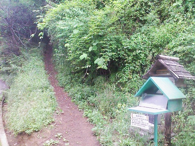 2011/06/11　倉岳山　細野山　鳥屋山_d0233770_23175757.jpg