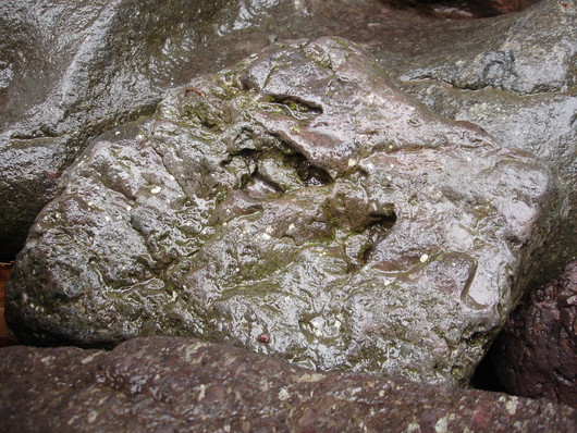 f0142070_13541961.jpg