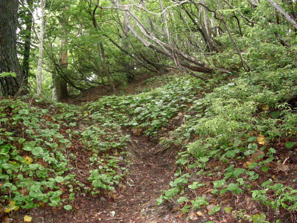 b0185573_11957.jpg