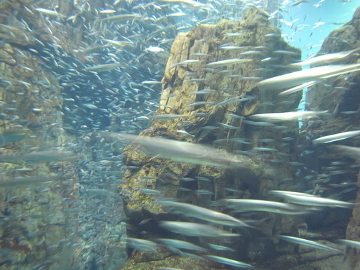 e0008674_16201418.jpg