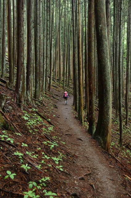 2011年6月13日～6月14日　雲取山～飛龍山　単独テント泊縦走　一日目_f0238475_22365439.jpg