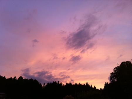 梅雨の晴れ間の夕焼け_e0133077_22535652.jpg