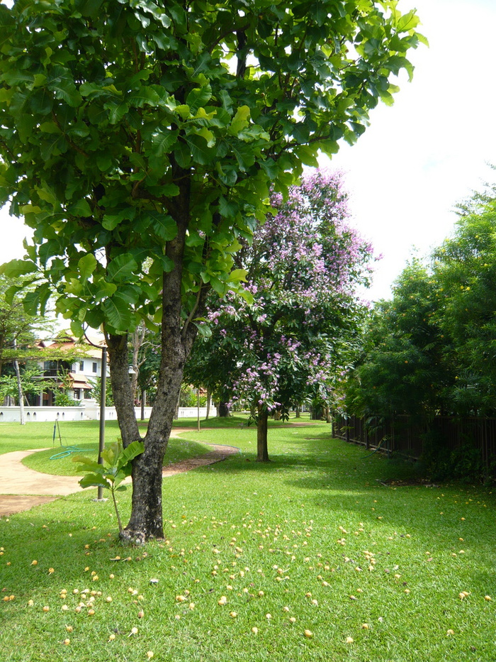 f0178278_12264795.jpg