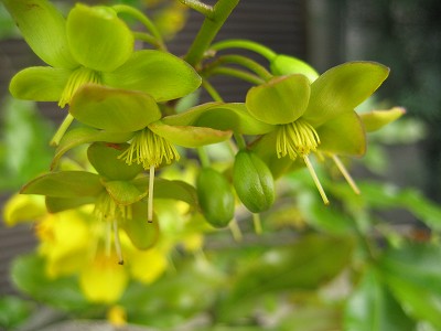 c0229483_8173861.jpg
