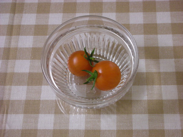 f0232785_20332411.jpg