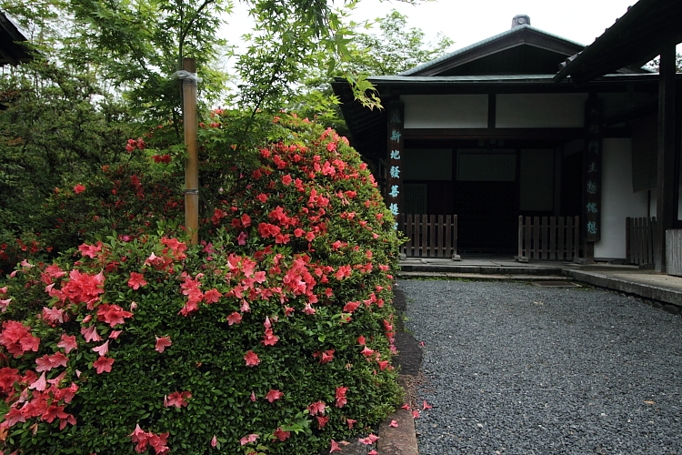 円通寺_e0051888_22202296.jpg