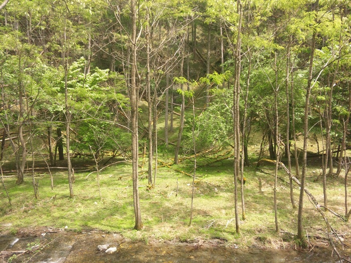 c0119891_11687.jpg