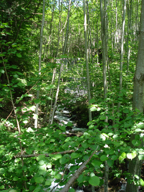 c0119891_16442845.jpg