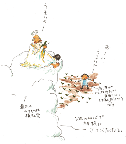 神様の盃_f0236291_9232660.gif