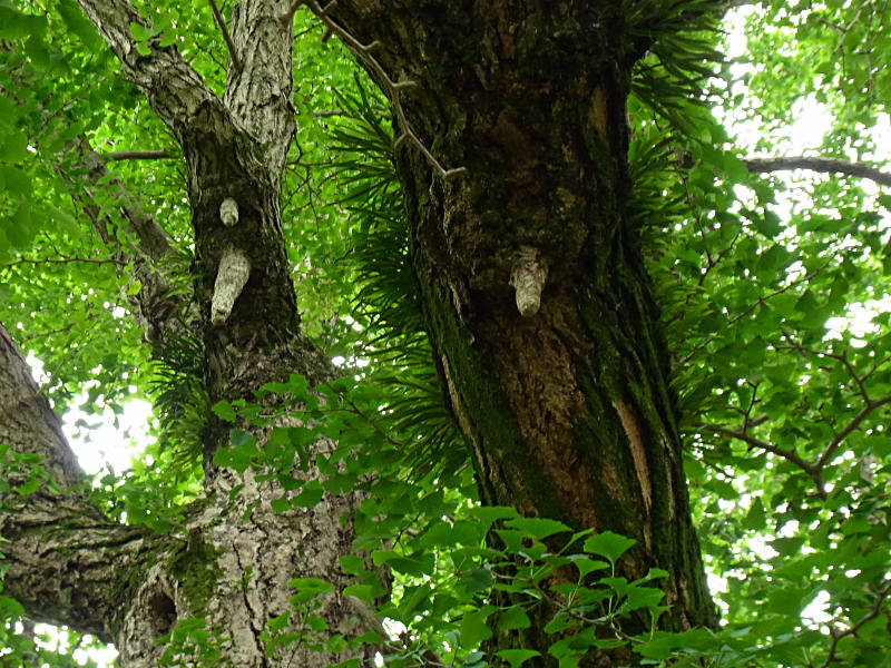 f0204094_131421.jpg