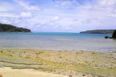 a0216098_2581812.jpg