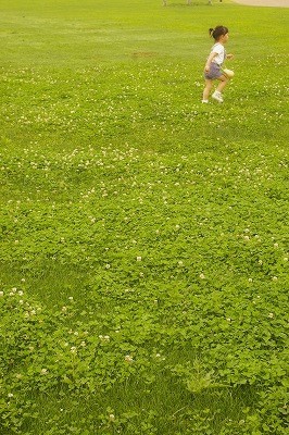 c0172101_13428.jpg
