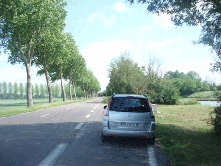 c0129702_23163681.gif