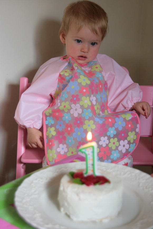 Rose 1歳の誕生日_a0215008_7202614.jpg