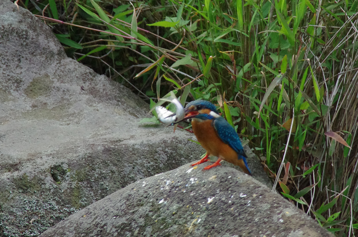 別の公園で　２_b0151409_23261164.jpg