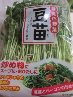 家庭菜園?~新たな育成!_d0091909_1048330.jpg