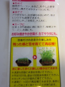 家庭菜園?~新たな育成!_d0091909_10523022.jpg