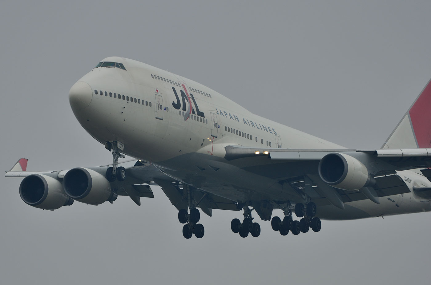 JAL B747-400国内線最終便・成田着陸【JA8077】_d0226909_2314439.jpg