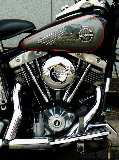 1981 FLH \" Shovel Head \"_b0160319_11181997.jpg